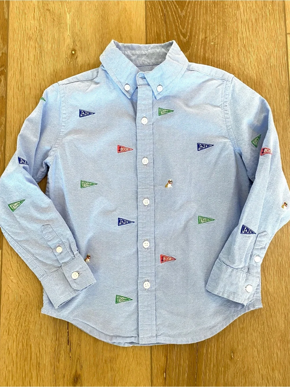 Janie and Jack Shirt Boy’s 4 Blue Embroidered Oxford Pennant Flags Preppy School